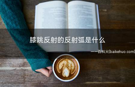 膝跳反射的反射弧是什么