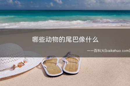 哪些动物的尾巴像什么