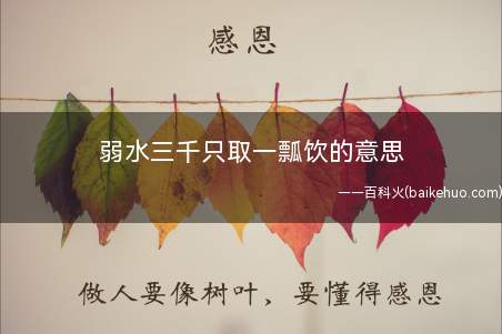 弱水三千只取一瓢饮的意思