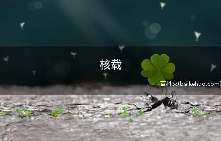 核载是什么意思