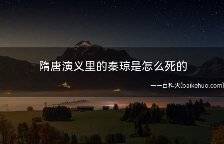 隋唐演义里的秦琼是怎么死的