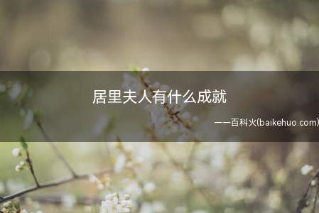 居里夫人有什么成就