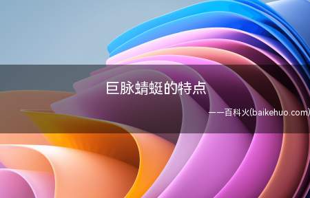 巨脉蜻蜓的特点