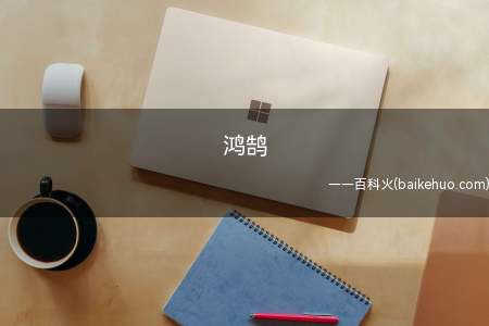 鸿鹄是什么意思