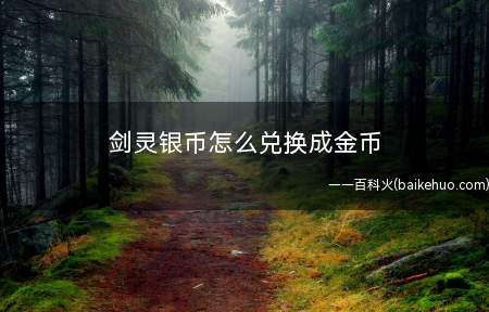 剑灵银币怎么兑换成金币