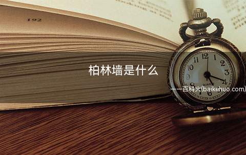 柏林墙是什么