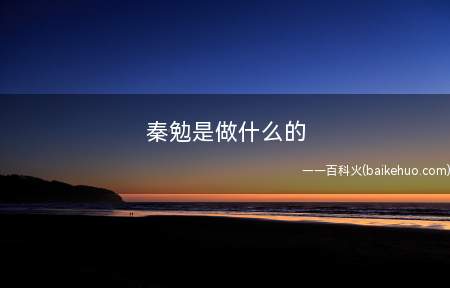 秦勉是做什么的