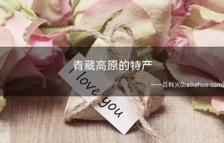青藏高原的特产