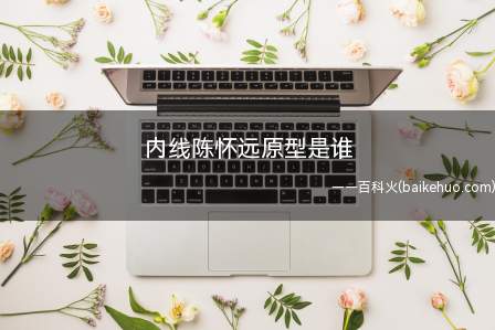 内线陈怀远原型是谁