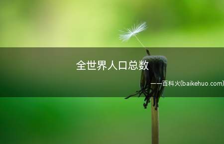 全世界人口总数