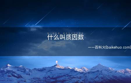 什么叫质因数