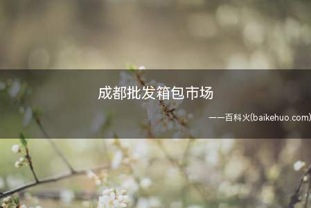 成都批发箱包市场