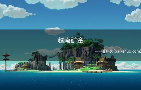 越南矿金是什么意思