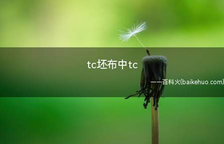 tc坯布中tc是什么意思