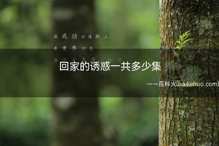 回家的诱惑一共多少集