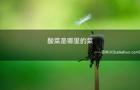 酸菜是哪里的菜