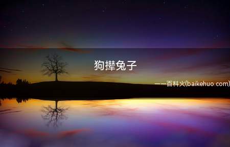 狗撵兔子是什么意思