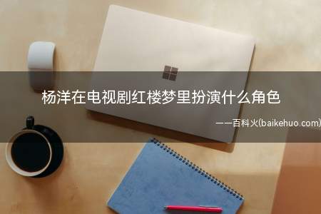 杨洋在电视剧红楼梦里扮演什么角色