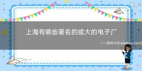 上海有哪些著名的或大的电子厂