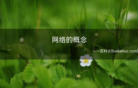网络的概念