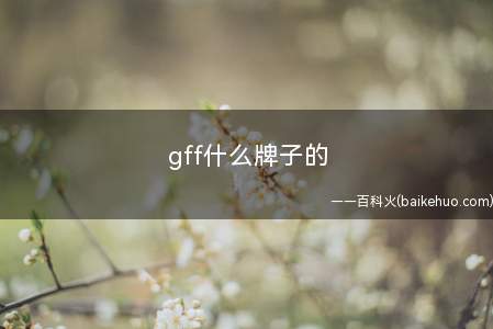 gff什么牌子的