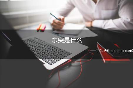 东突是什么