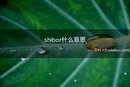 shibor什么意思