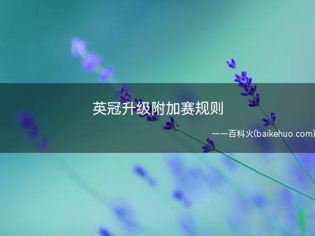 英冠升级附加赛规则