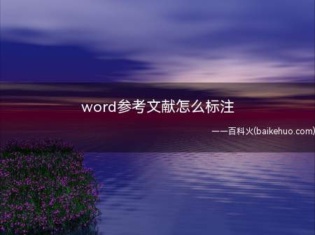 word参考文献怎么标注