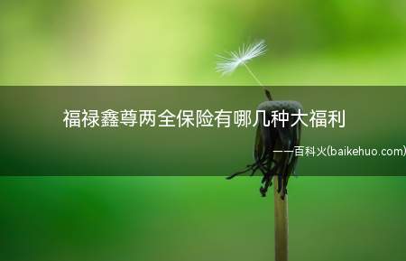 福禄鑫尊两全保险有哪几种大福利(福禄新尊两全保险的特点)