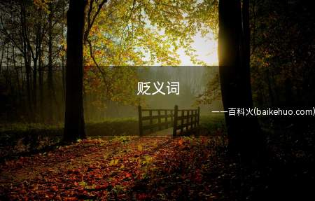 贬义词(贬词的意思是含有遣责,否认,憎恶,鄙夷情感颜色的词)