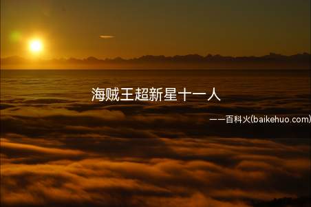 海贼王超新星十一人(海贼王十一人分别为:尤斯塔斯基德:基德海盗团船长,南海出身,)
