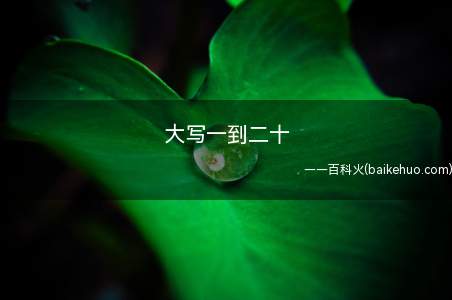 大写一到二十(汉字数字是一种笔画较多的写法)
