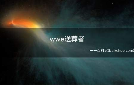wwe送葬者(多次送葬者WWE冠军和世界重量级冠军在摔跤狂热决赛中保持21)