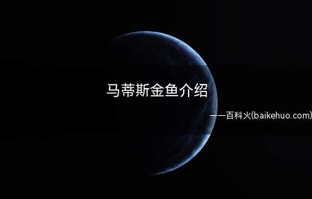 马蒂斯金鱼介绍(马蒂斯觉得文化有二种表现方式)