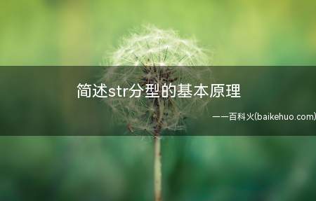 简述str分型的基本原理（STR临床诊断是基本概念）