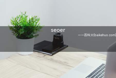 seoer(SEOER顾名思义是什么)