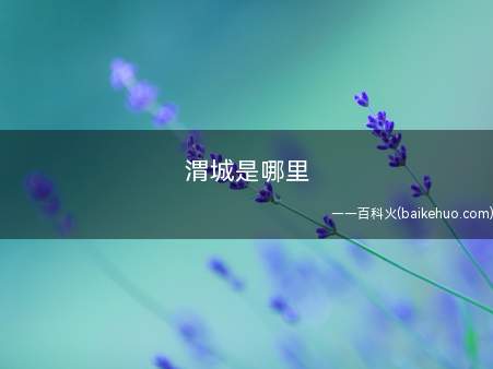 渭城是哪里(中国历史上第一个统一的中央集权封建国家)