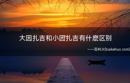 大因扎吉和小因扎吉有什麽区别(前意大利职业足球运动员,司职前锋,现任威尼斯足球俱乐部主教练)