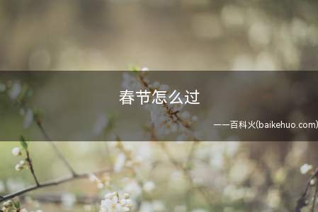 春节怎么过(春节活动丰富多彩,具有丰富的民族特色)