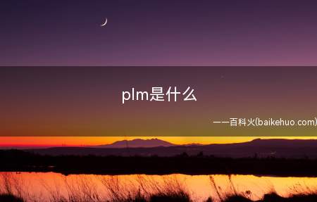 plm是什么(plm是一系列支持产品整个生命周期信息创建、管理、分发和应用)