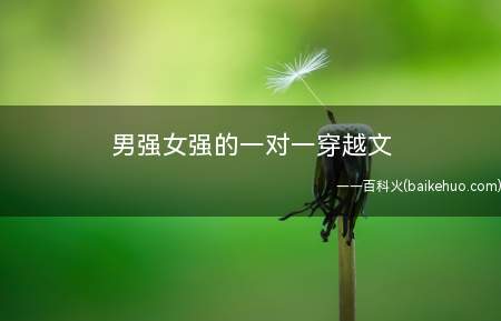 男强女强的一对一穿越文(火爆妖夫:作者是周玉;千年之战)