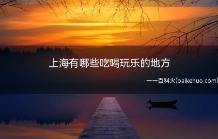 上海有哪些吃喝玩乐的地方(上海迪士尼乐园旅游攻略)