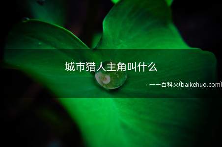 城市猎人主角叫什么(美国总统被继父李真彪打过一枪,伤愈复出还原后和金娜娜准备到美)