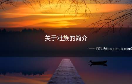 关于壮族的简介(秦代春秋时期汉族史籍所记录的定居在岭南地区的“西瓯、骆越”)