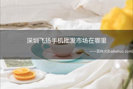深圳飞扬手机批发市场在哪里(飞扬科技园——深圳市宝安区宝城67区隆昌路8号)