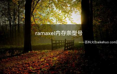 ramaxel内存条型号(Ramaxel电脑内存条关键供货给品牌机)