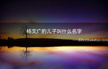 杨文广的儿子叫什么名字(杨文广的孩子叫杨怀玉,宋朝杨家将中人物,归属于李家第九代英雄)