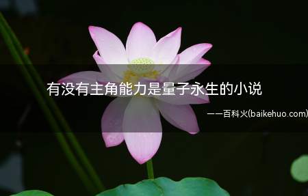 有没有主角能力是量子永生的小说(量子意志,作者:世界绝响。)