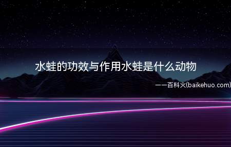 水蛙的功效与作用水蛙是什么动物(弹钢琴水蛙,无尾目蛙科水蛙)